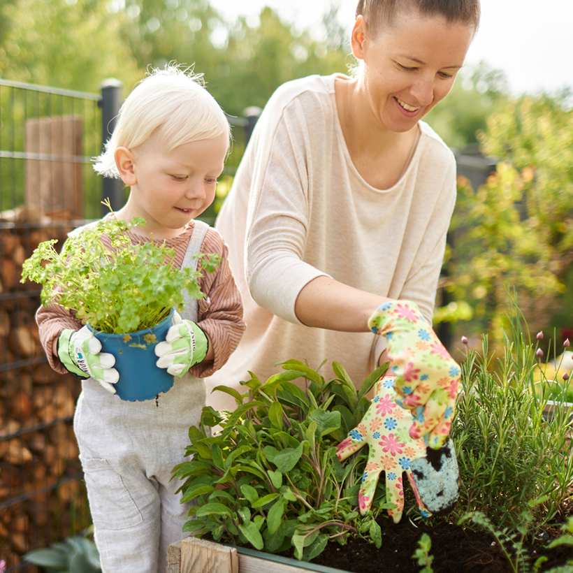 Harlowe Bendigo Gardening